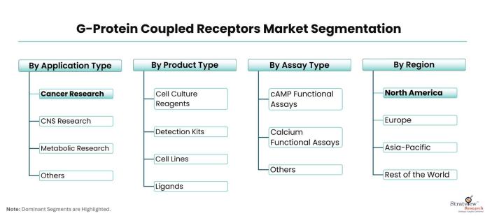 G-Protein-Coupled-Receptors-Market-Segmentation